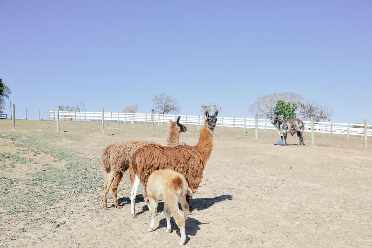 Fazenda Ararita Pôrto Feliz