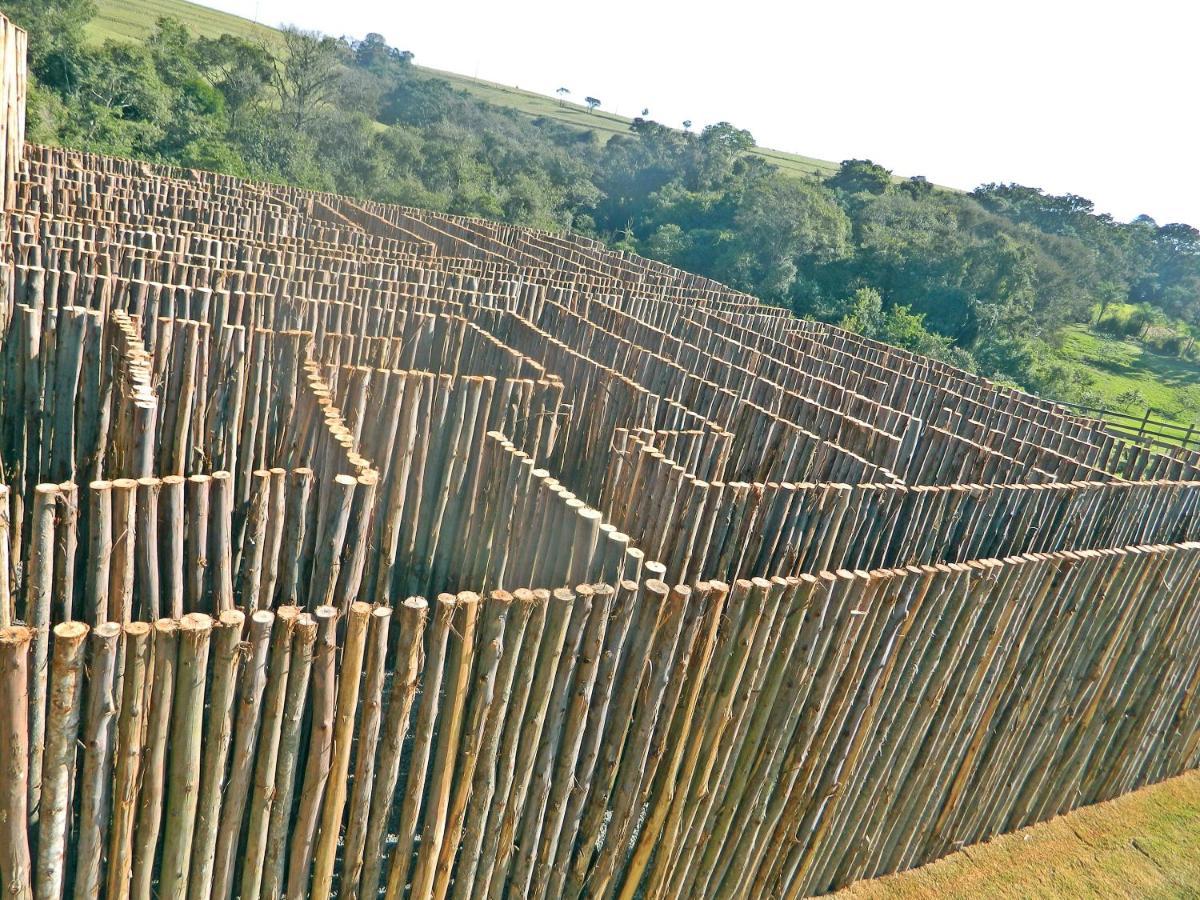 Fazenda Ararita